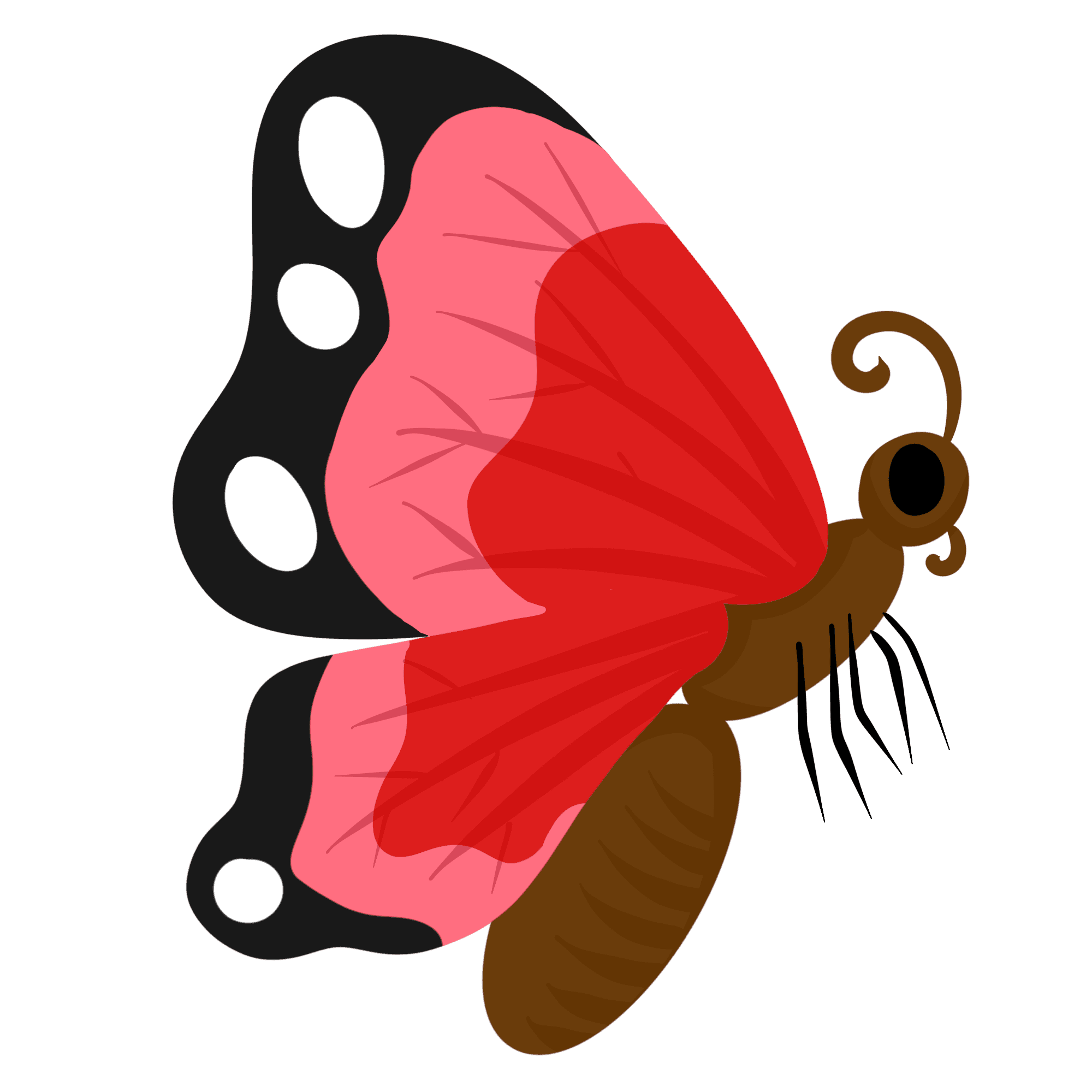 Kupu-kupu